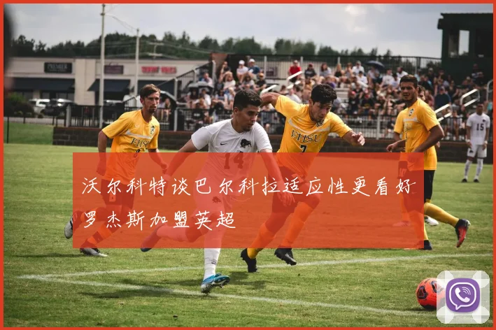 沃尔科特谈巴尔科拉适应性更看好罗杰斯加盟英超